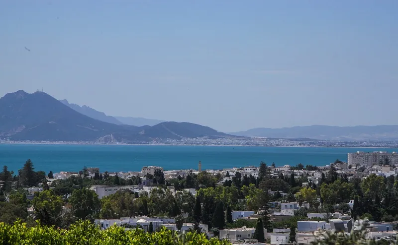 Тунис  удивляет, вдохновляет, радует