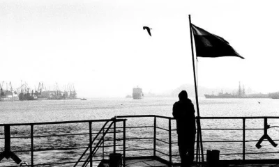 Зигфрид. Киногамма