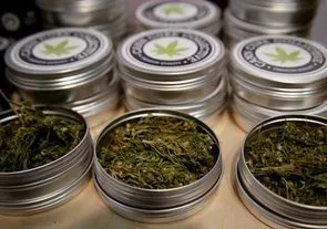 Большинство британцев за легализацию марихуаны