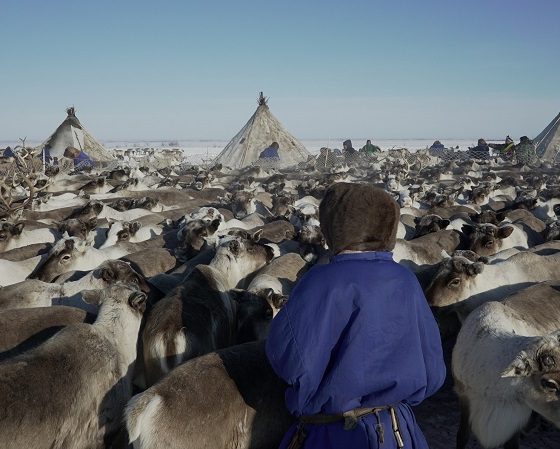 Тропою Устюжского конкистадора