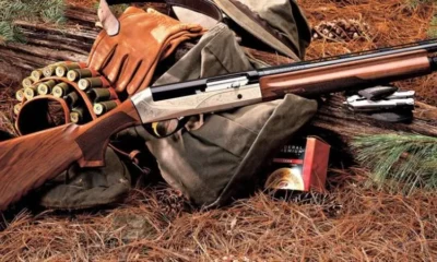 Охотничий туризм в Болгарии – отдых и удовольствие