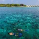 Всю ночь до утра в Dhigali Maldives