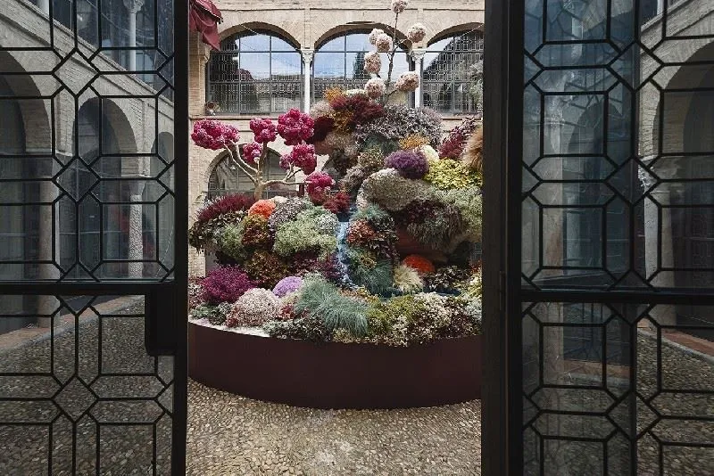 Фестиваль цветов в октябре наполнит Кордову яркими красками и ароматами