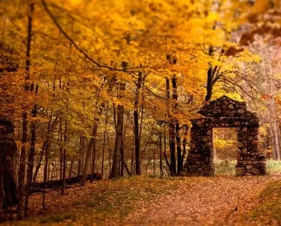 Куда отправится в выходные 20 и 21 октября 2018