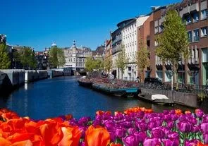 Круизные компании отказываются от Амстердама