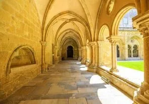 Неизвестный организм разрушает собор Коимбры