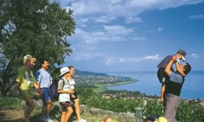 Многодетных в Венгрии освободят от налогов