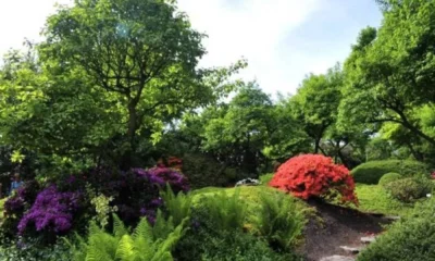 Пражский ботанический сад