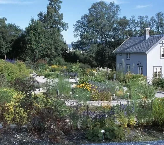 Самый северный ботанический сад на планете