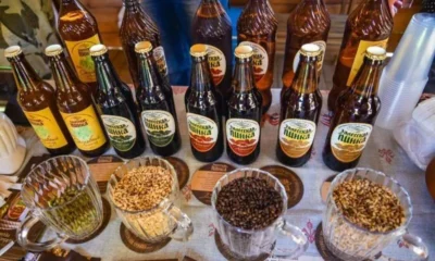 Майские праздники в музее Ряпушки!