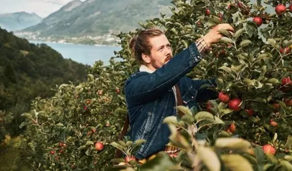 Сидр с привкусом рок-н-ролла