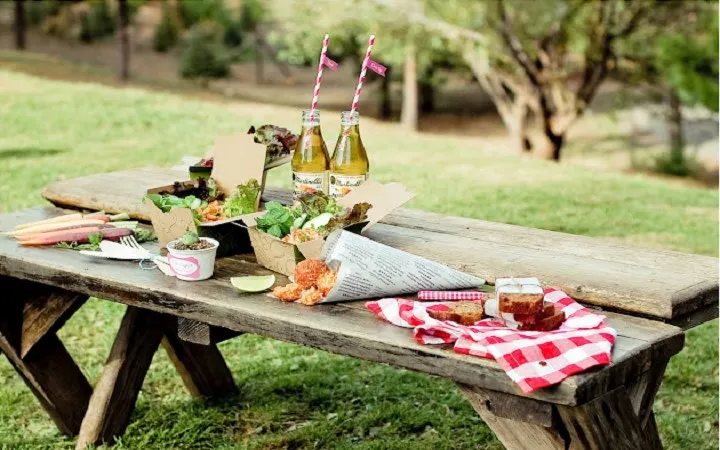 Пять оригинальных идей для пикника