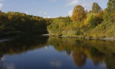 Пора развивать экологический туризм в Арктике