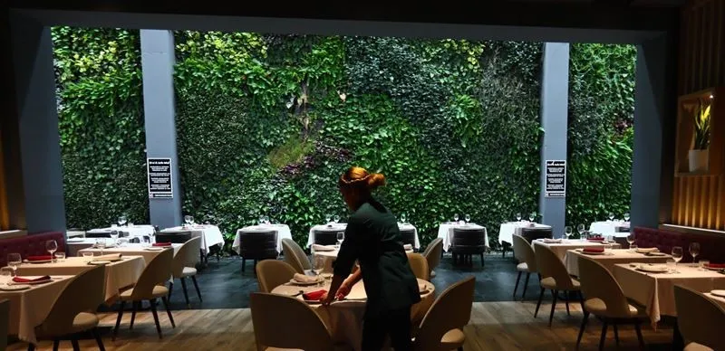 Самый большой вертикальный сад  Испании находится в городе Алькоркон