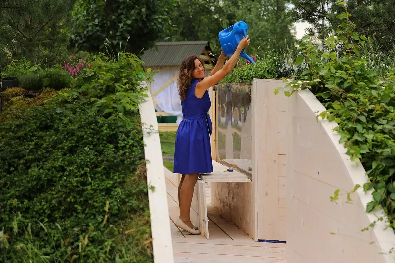 Время садов и романтиков, Танковый биатлон и День светофора: куда сходить  и что посмотреть в августе