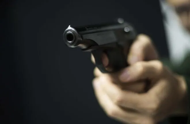 Шесть человек стали жертвами стрельбы в Загребе