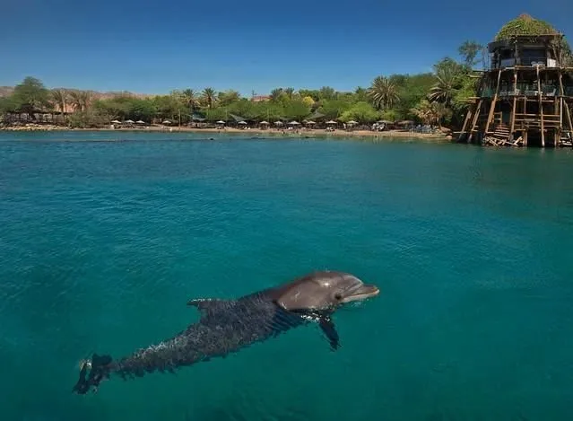 Эйлат стал еще ближе и доступнее