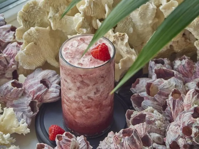 Гастропутешествие в лето — Смузи «Малина-киви»