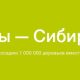 S7 Airlines завершила сбор средств на посадку миллиона деревьев в Сибири