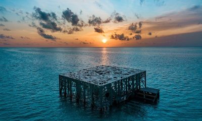 Fairmont Maldives Sirru Fen Fushi представляет новую подводную инсталляцию Джейсона Тейлора