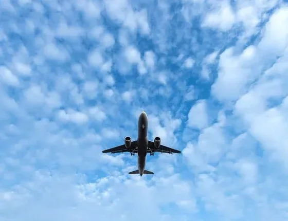 Когда подорожают билеты на Новый год