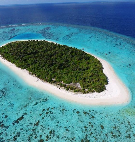 Путешествие по домашнему рифу Faarufushi Maldives: сноркелинг