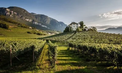 «Провинцию Больцано» отменили