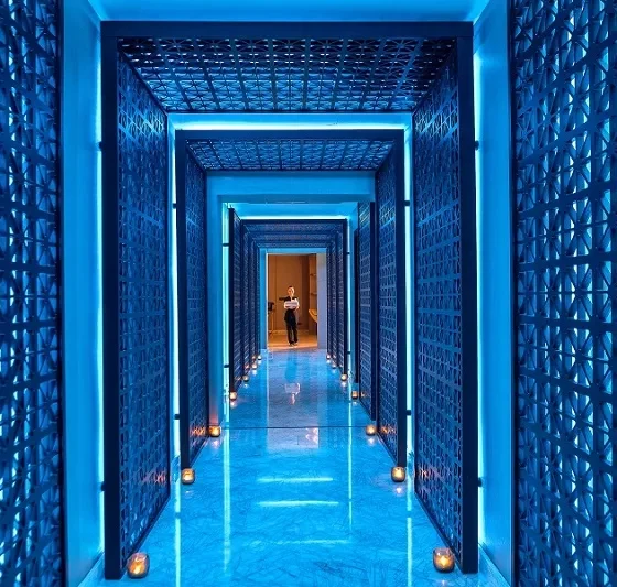 Shiseido Spa отеля Four Seasons Cyprus первым в Европе предложил гостям процедуры Lipofirm Pro