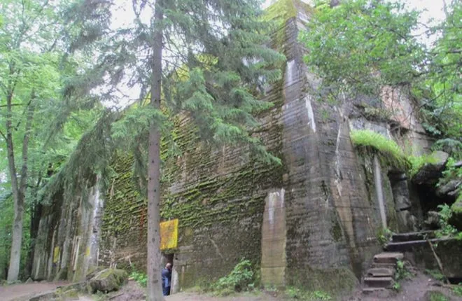 Археологи нашли теплицу Гитлера