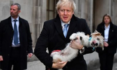 Борис Джонсон переизбран в парламент