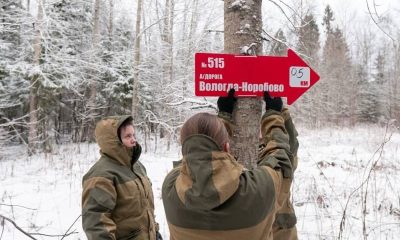 «Маячки спасения» в Вологодском районе