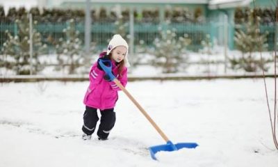 Куда пойти с детьми в предстоящие выходные – 8 и 9 февраля 2020