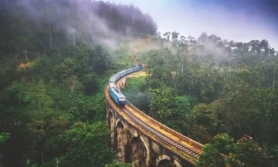 Коронавирус сделал Шри-Ланку снова безвизовой страной
