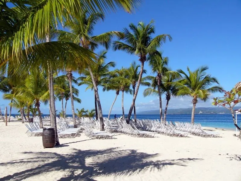 Незабываемая поездка к китам с компанией Dominicana.pro