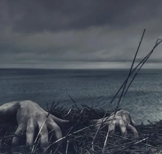 Профессор Гарварда предрекает мировой апокалипсис из-за коронавируса