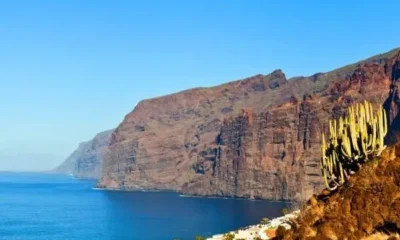 На Тенерифе не выявлено новых случаев заражения коронавирусом