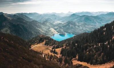 Европейские природные парки запустили онлайн-трансляции