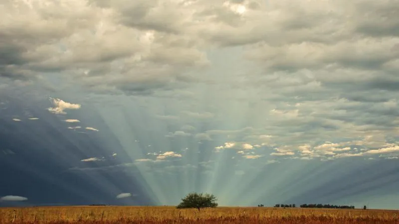 Названо место, куда большинство россиян поедет после пандемии на отдых