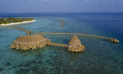 Самый романтичный ужин