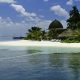 Kandolhu Maldives воспользовался пандемией для восстановления морской флоры и фауны