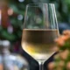 Фестиваль рислинга Riesling Weeks 2020 в России