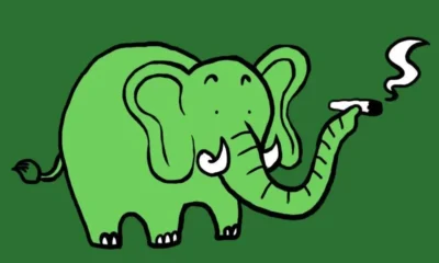 В Варшаве решили легализовать марихуану?