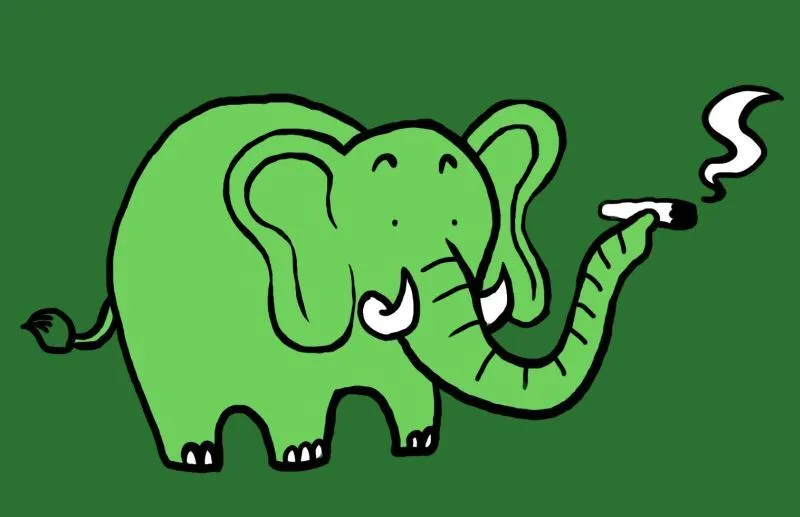 В Варшаве решили легализовать марихуану?