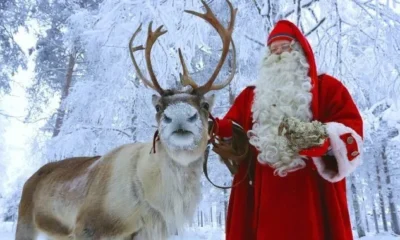 Новый год 2021 в Финляндии может стать для россиян реальностью