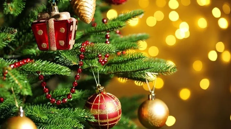 Новый год 2021 – Остаться дома, но выпить