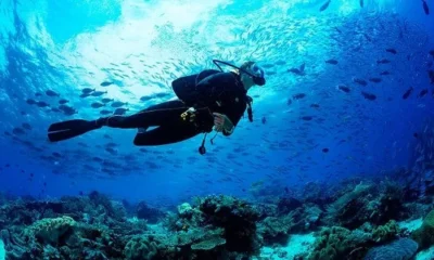 ТОП-6 Направлений для подводного плавания в холодной воде