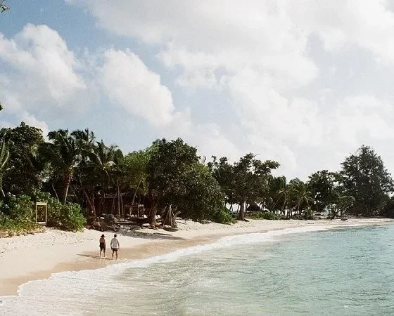 Какая страна может первой добиться коллективного иммунитета