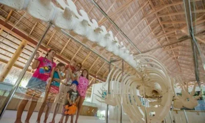 Kuramathi Maldives – главный в вопросах экологии!