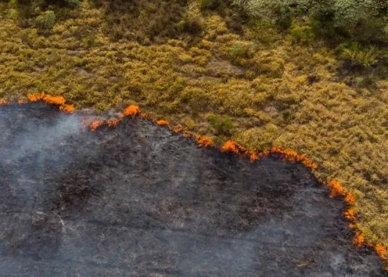 Пять продуктов