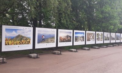 Выставка из цикла «Путешествуйте дома» открылась в Москве в зоне отдыха «Борисовские пруды»